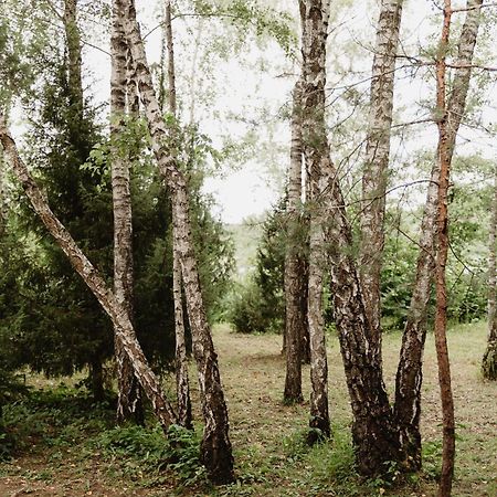 Berzu Namelis - Birch Cabin Kutsyuny Εξωτερικό φωτογραφία