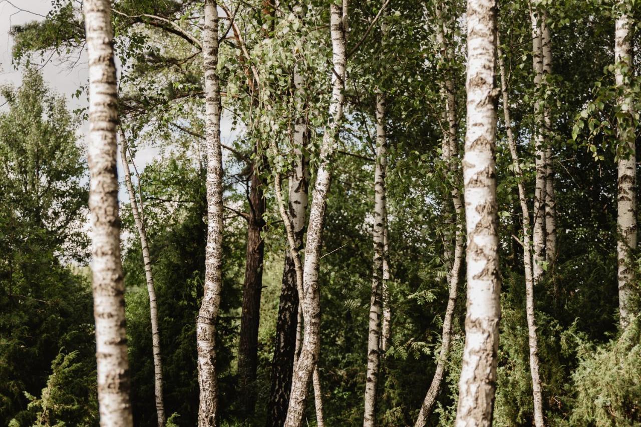 Berzu Namelis - Birch Cabin Kutsyuny Εξωτερικό φωτογραφία