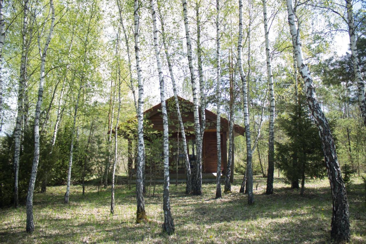 Berzu Namelis - Birch Cabin Kutsyuny Εξωτερικό φωτογραφία